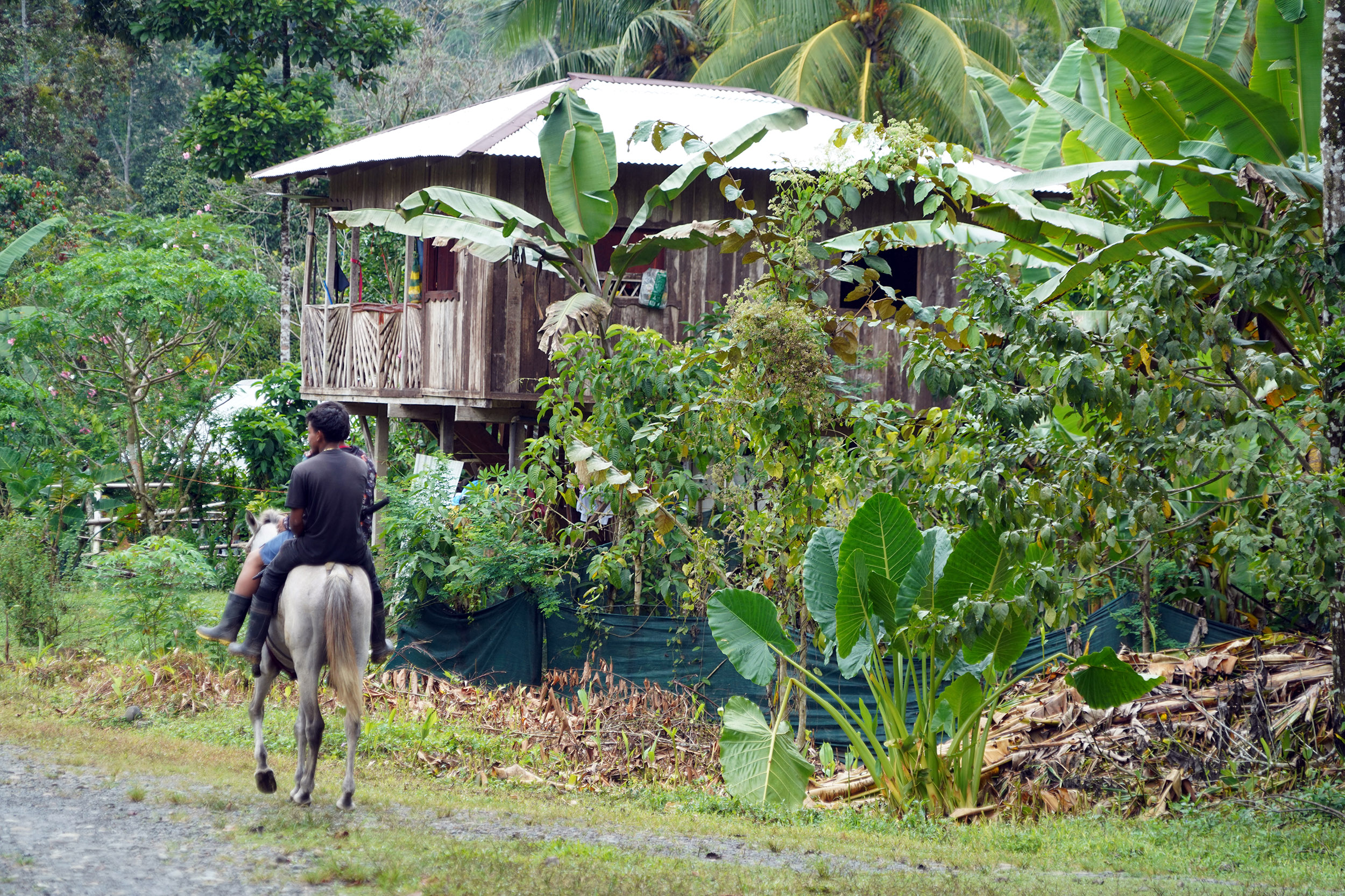 Costa Rica - Février 2025